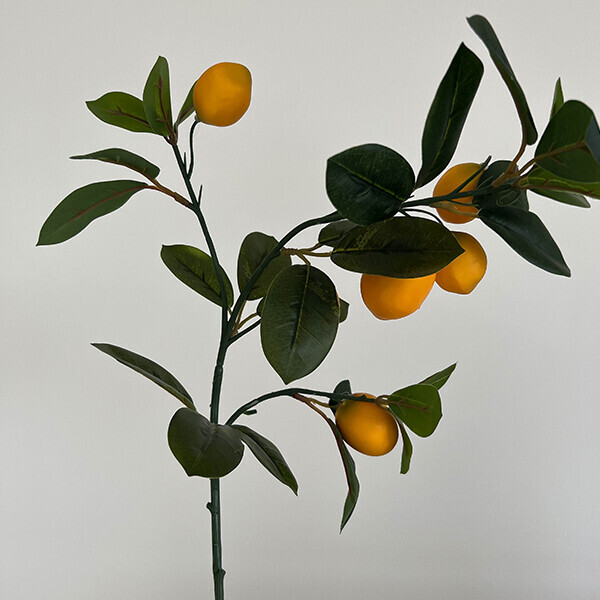 오브젠탈,[국내배송] 자연스럽고 고급스러운 레몬, 만다린 나무 조화 모음